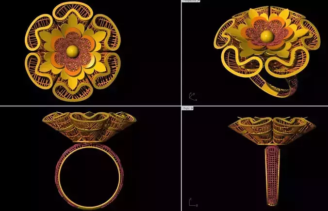 10 Fusion Jali Ring collection 