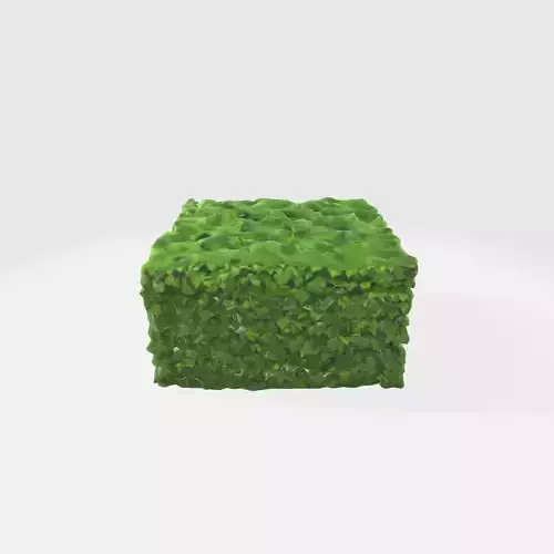 A green cube-shaped hedge bush