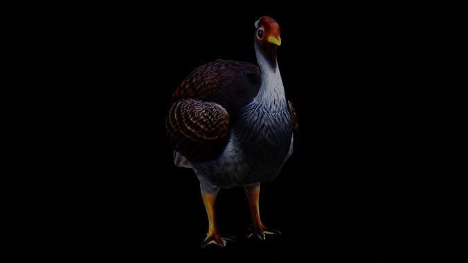 Realistic Turkey low poly Low-poly 3D model 2