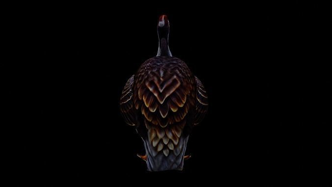 Realistic Turkey low poly Low-poly 3D model 7