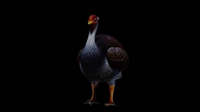 Realistic Turkey low poly Low-poly 3D model 3