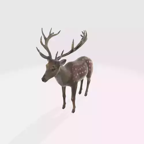 A brown deer with large antlers