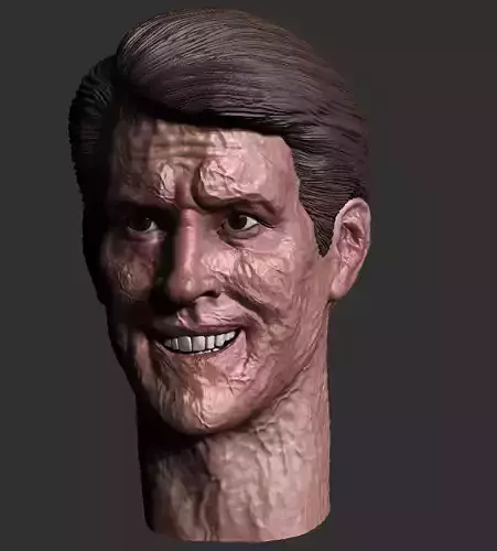 Ryan Reynolds - DEADPOOL inspired face head