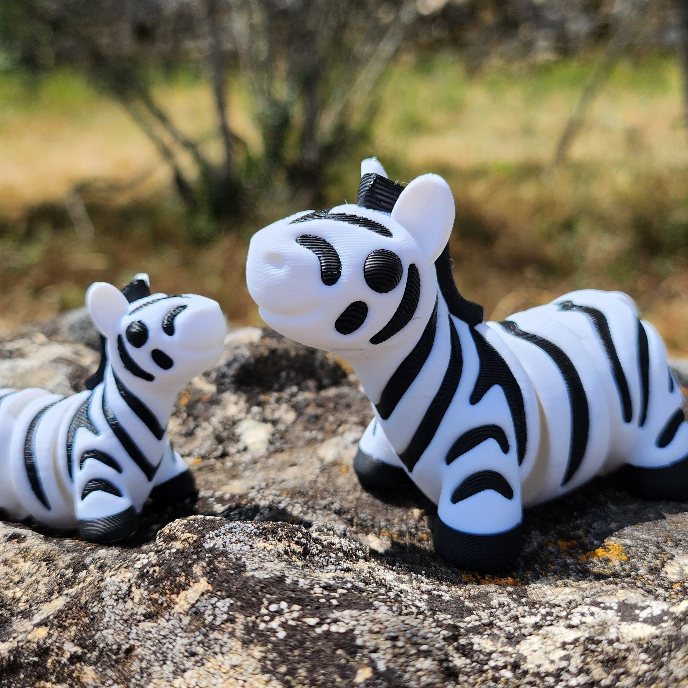 Baby Zebra 3D print model_2