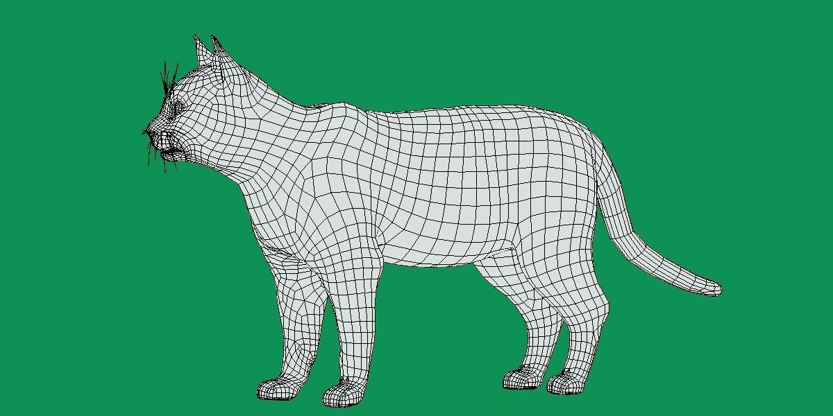 Toyger Cat Low-poly 3D model_13