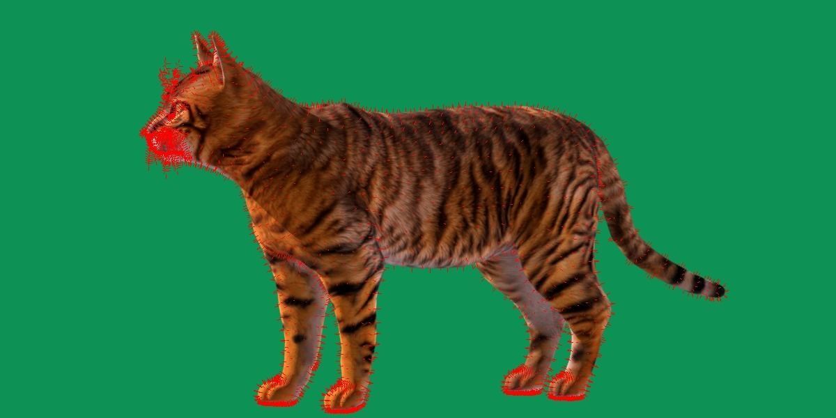 Toyger Cat Low-poly 3D model_14