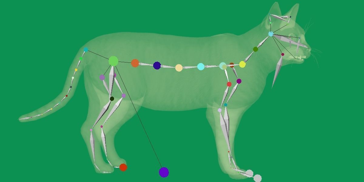 Toyger Cat Low-poly 3D model_23