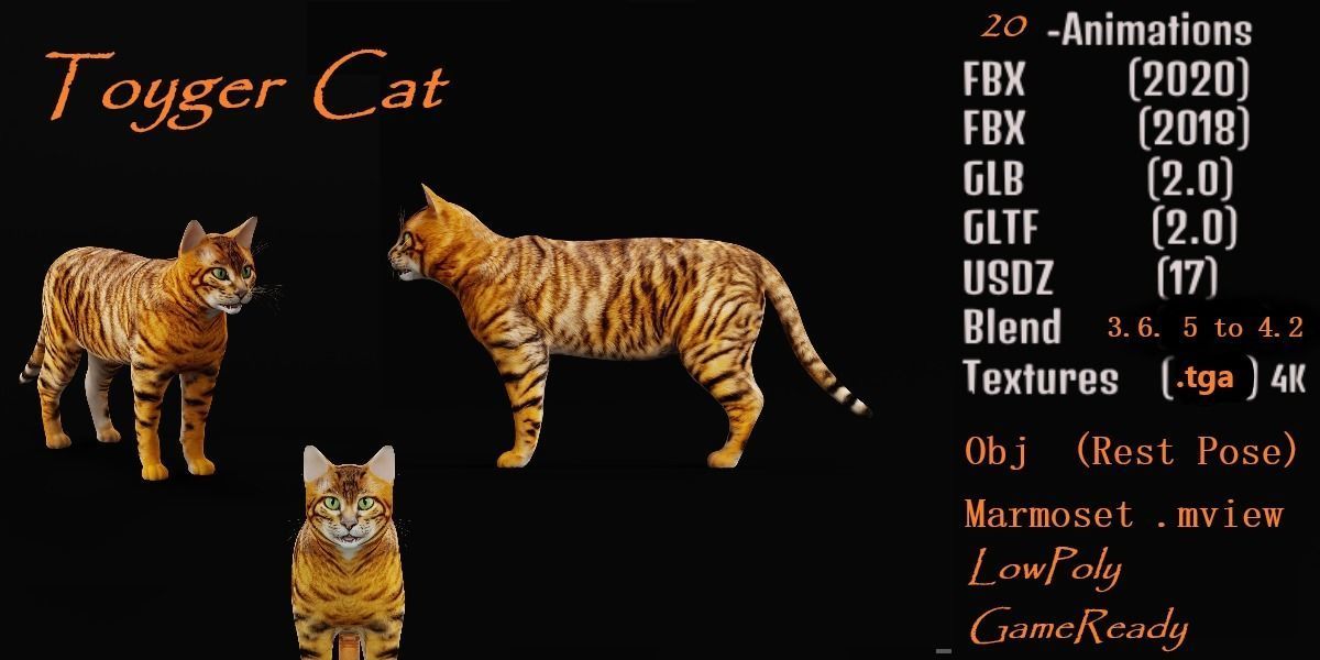 Toyger Cat Low-poly 3D model_4
