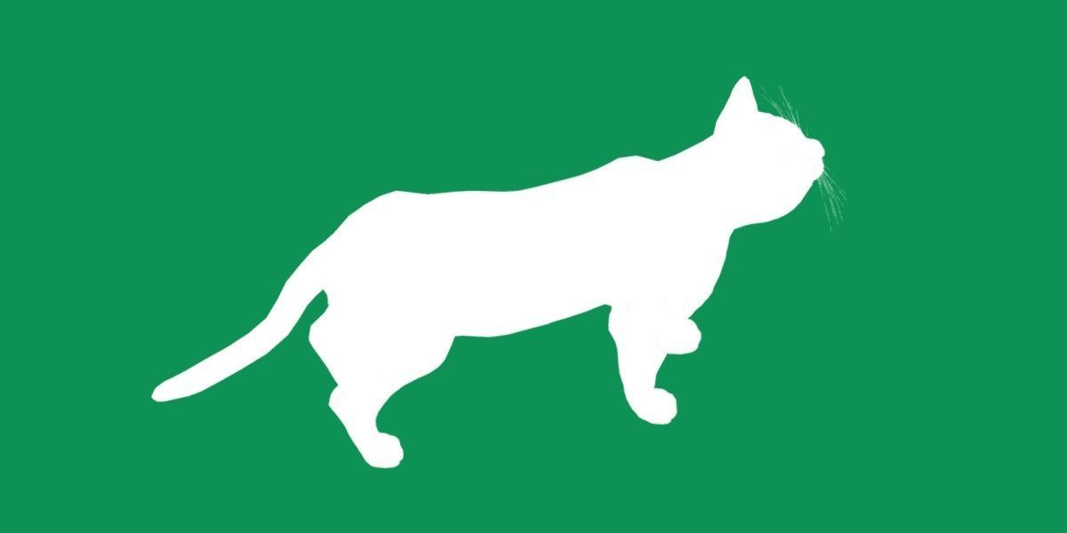 Toyger Cat Low-poly 3D model_28