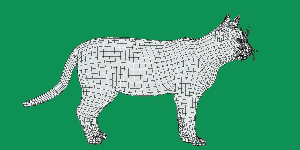 Toyger Cat Low-poly 3D model_12