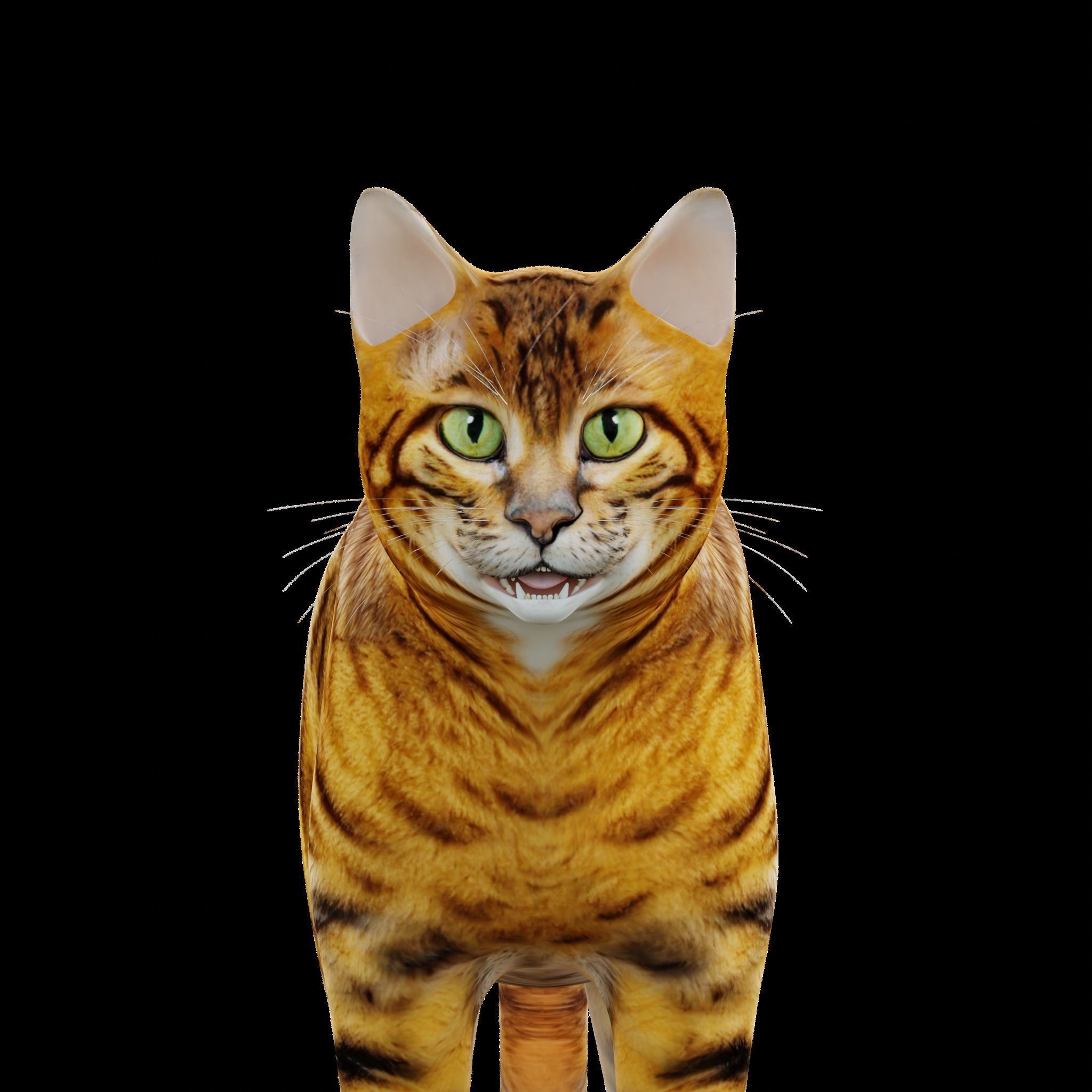 Toyger Cat Low-poly 3D model_3