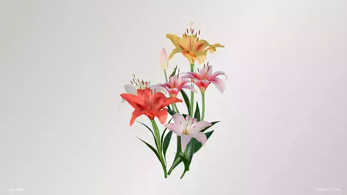 Lily Flower In 5 Colors Low-poly 3D model