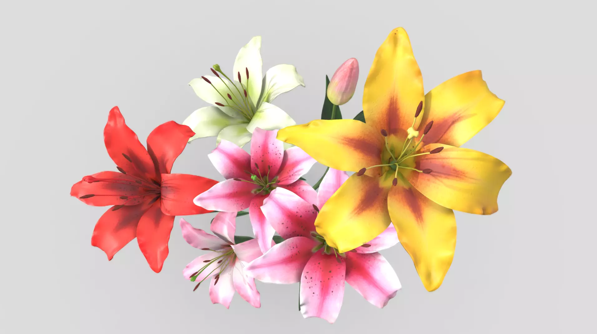 Lily Flower In 5 Colors Low-poly 3D model_0