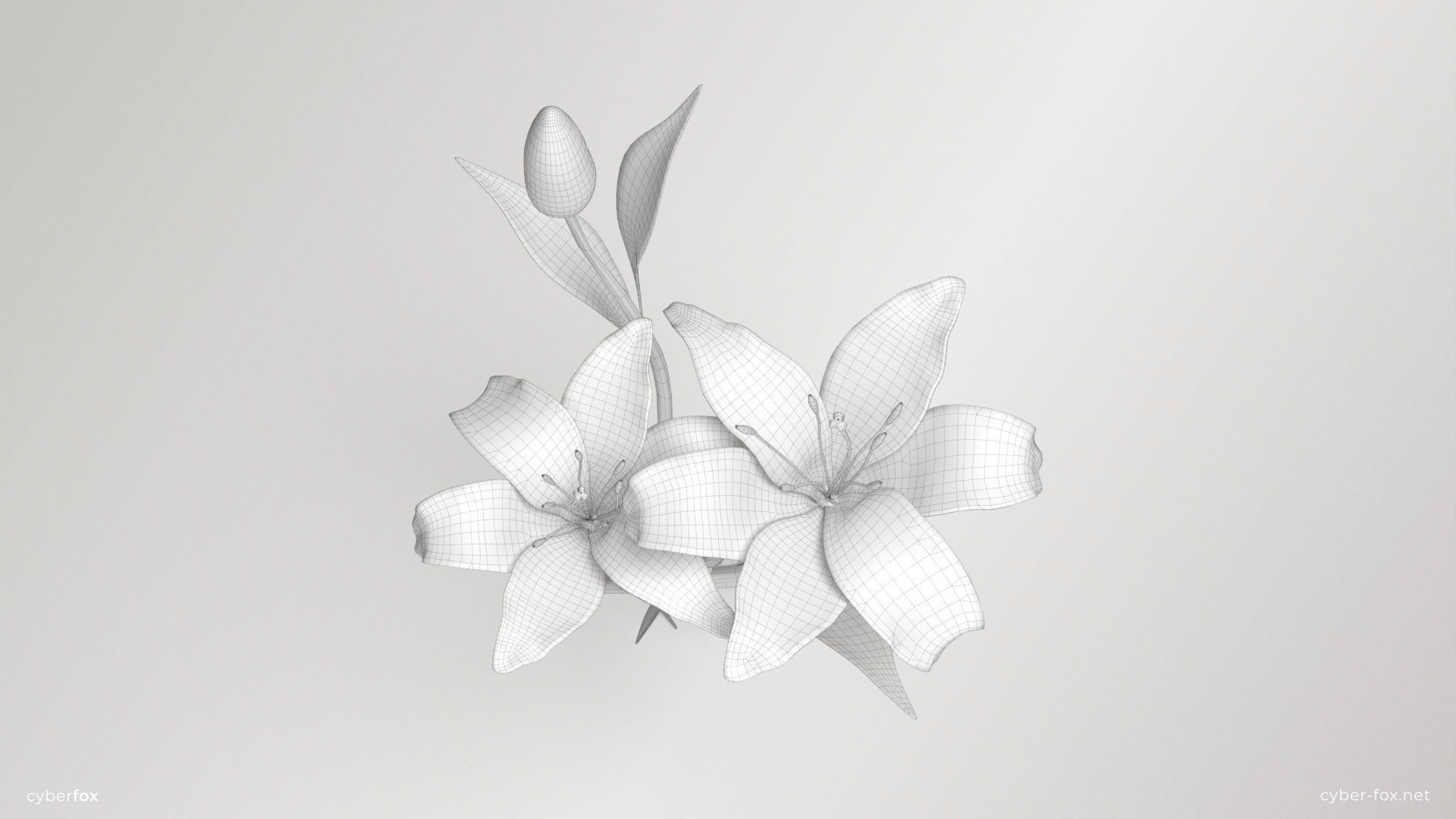 Lily Flower In 5 Colors Low-poly 3D model_14