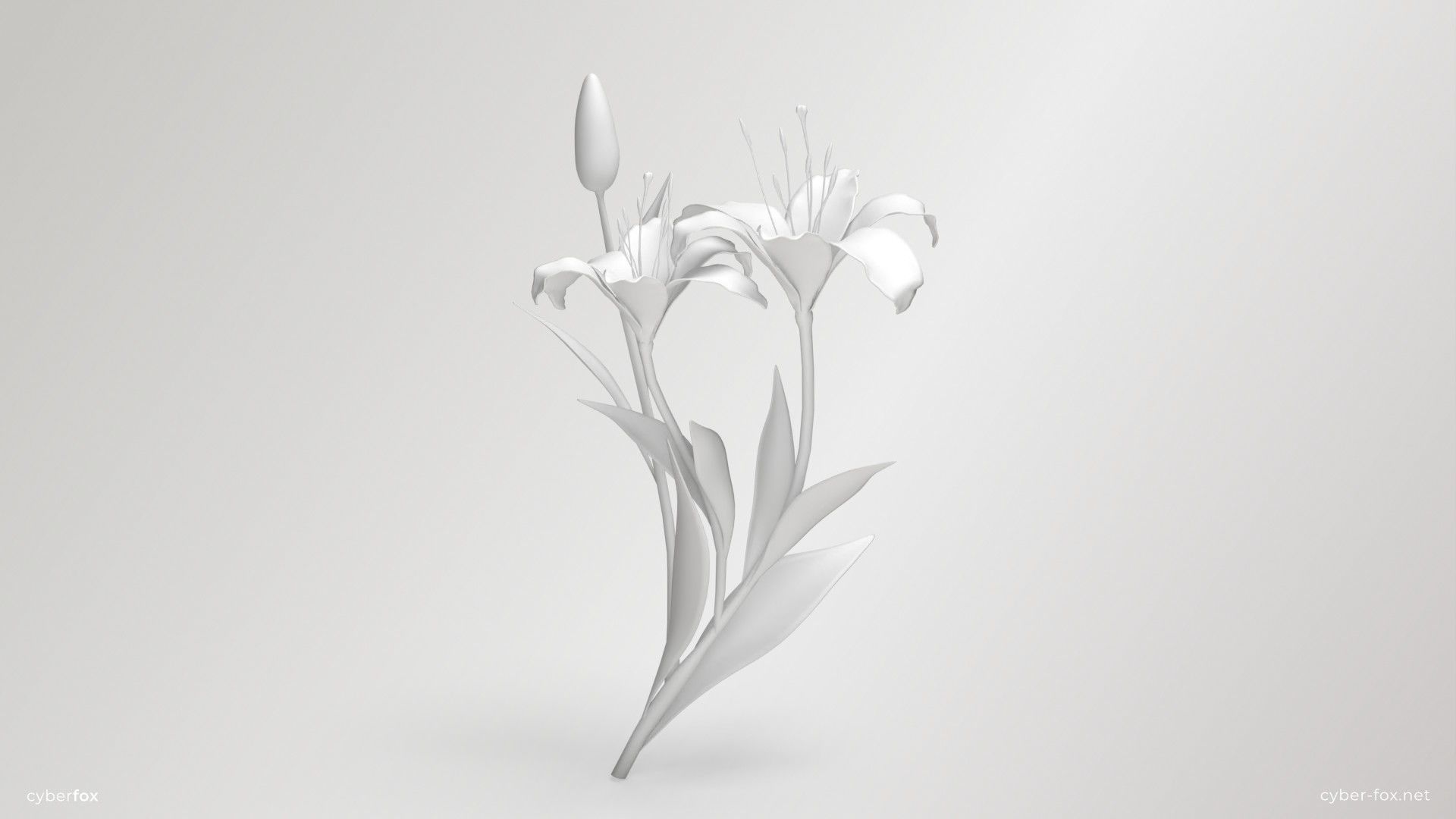 Lily Flower In 5 Colors Low-poly 3D model_17