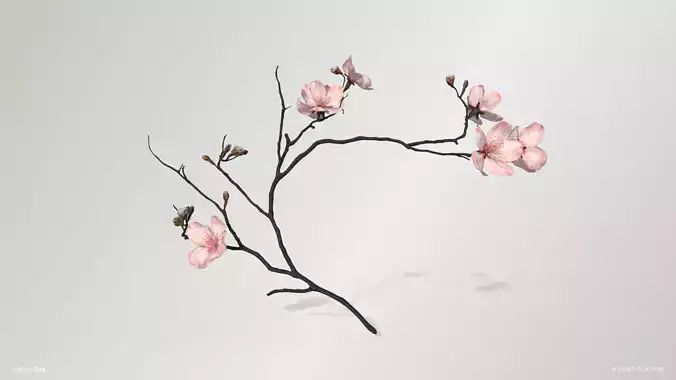 Sakura Branch