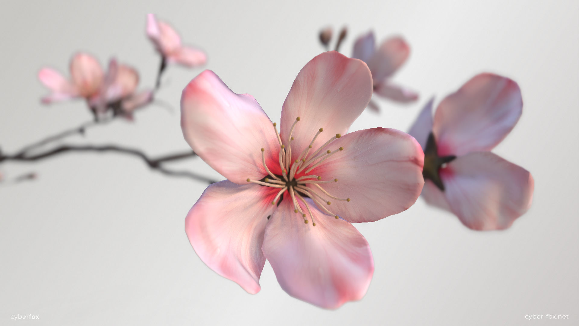 Sakura Branch Low-poly 3D model_3