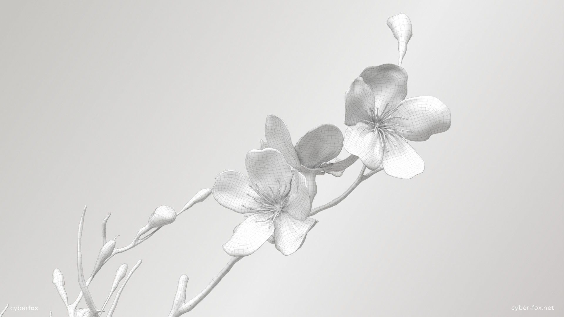 Sakura Branch Low-poly 3D model_6