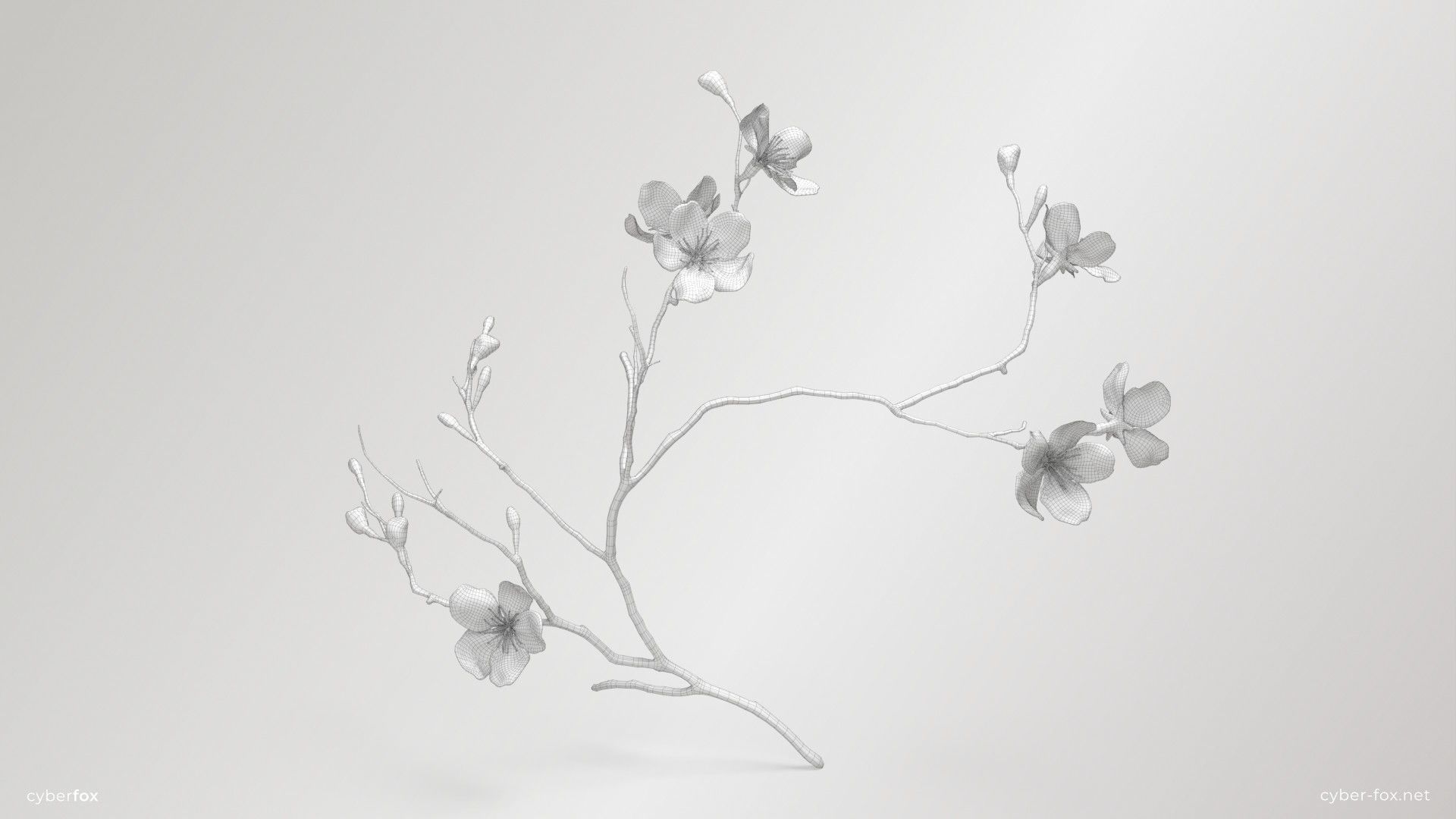 Sakura Branch Low-poly 3D model_9