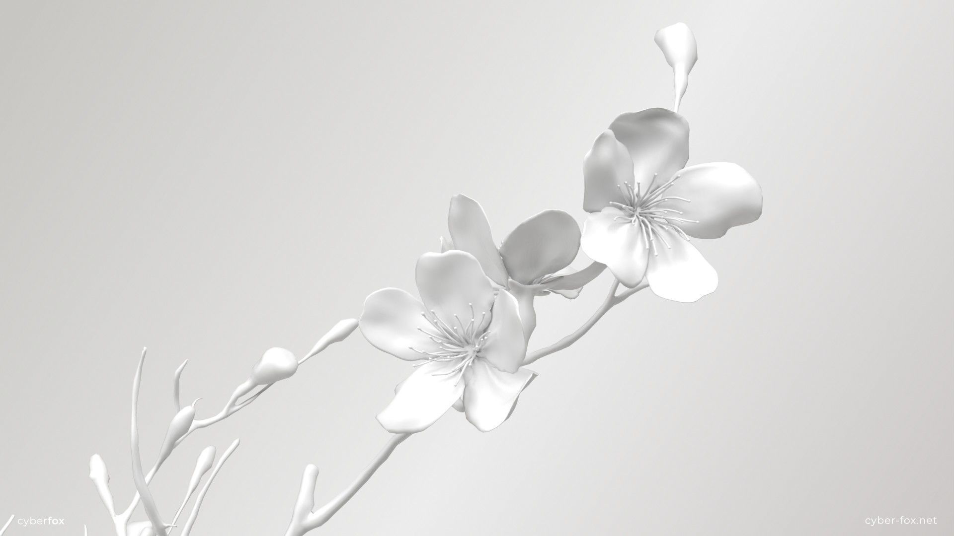 Sakura Branch Low-poly 3D model_8