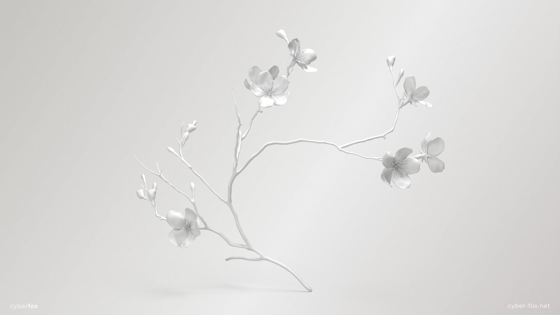 Sakura Branch Low-poly 3D model_7