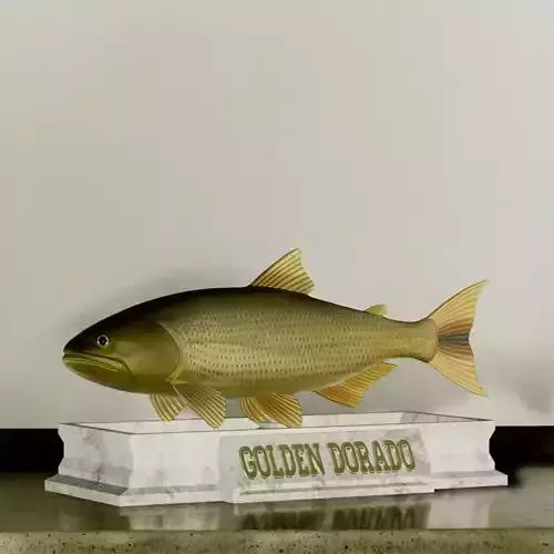 fish golden dorado statue detailed texture  3D print model