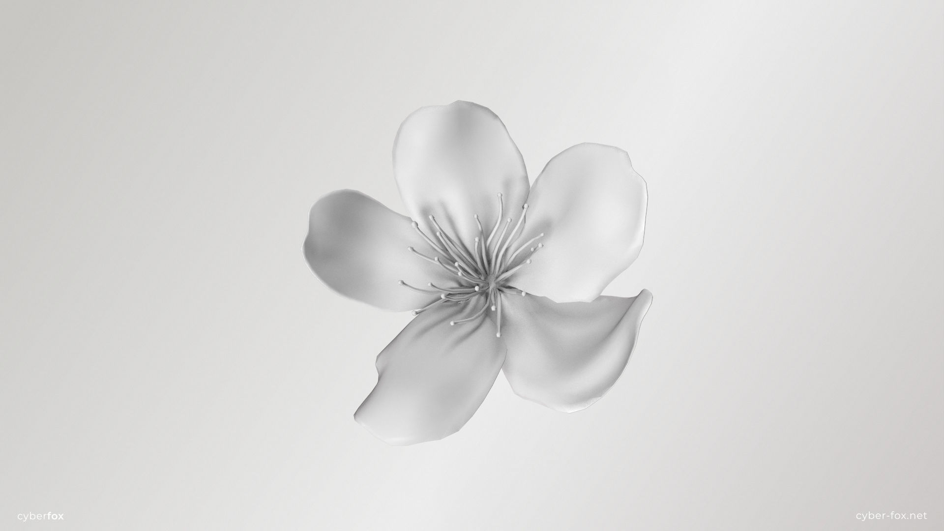 Sakura Flower Low-poly 3D model_5