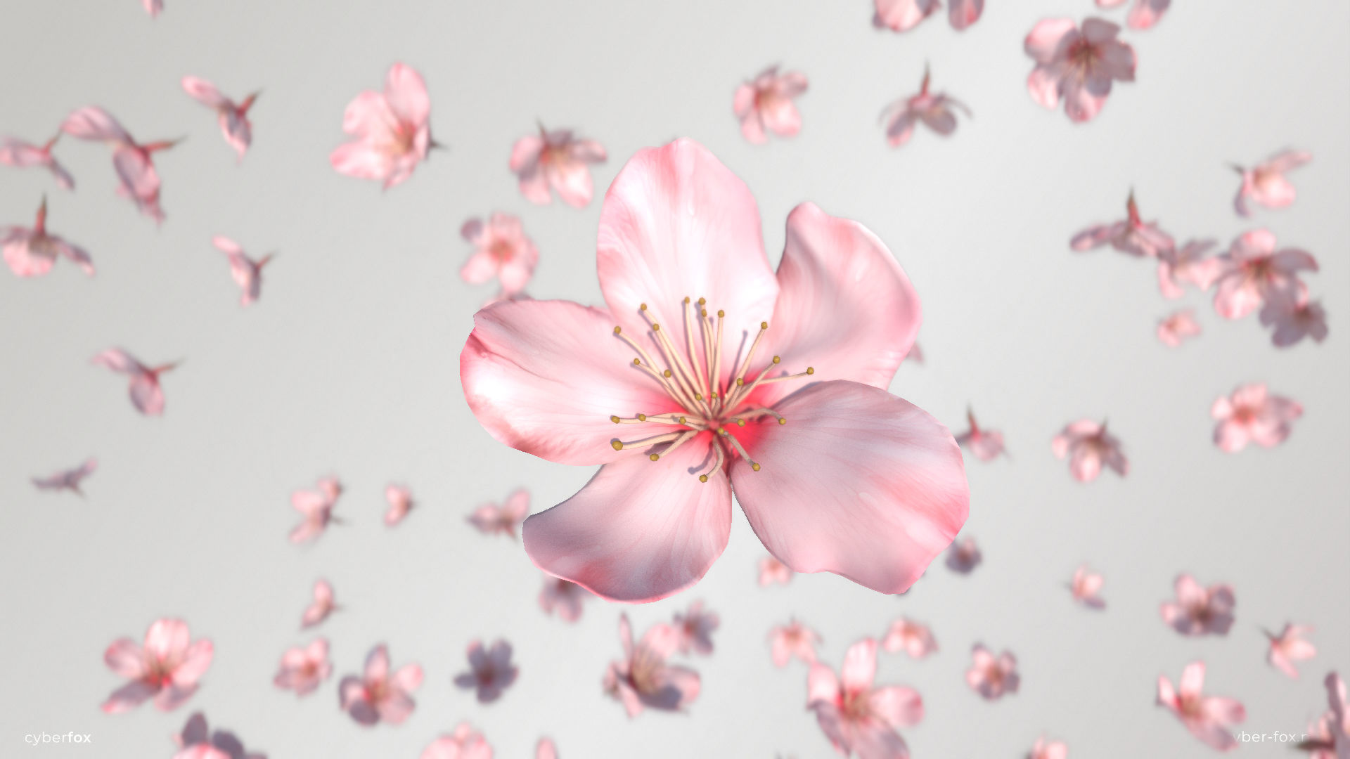 Sakura Flower Low-poly 3D model_1