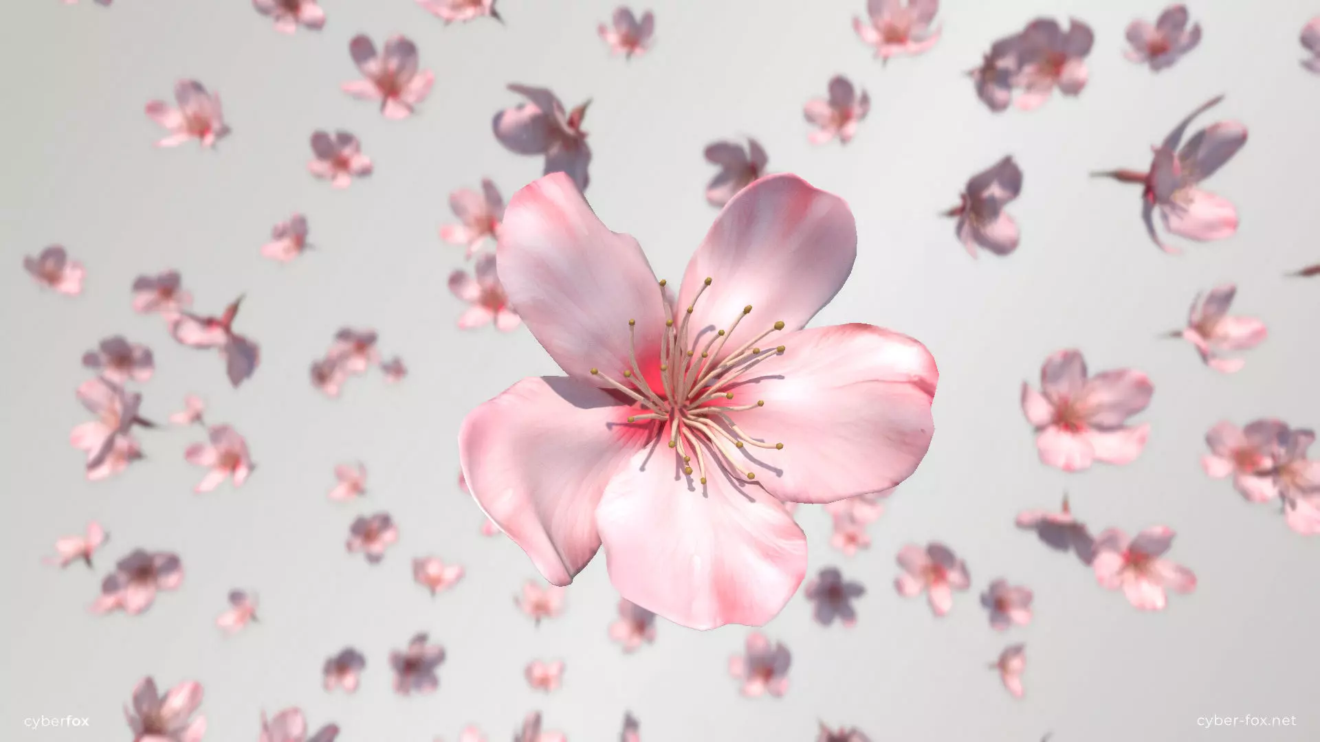 Sakura Flower Low-poly 3D model_0
