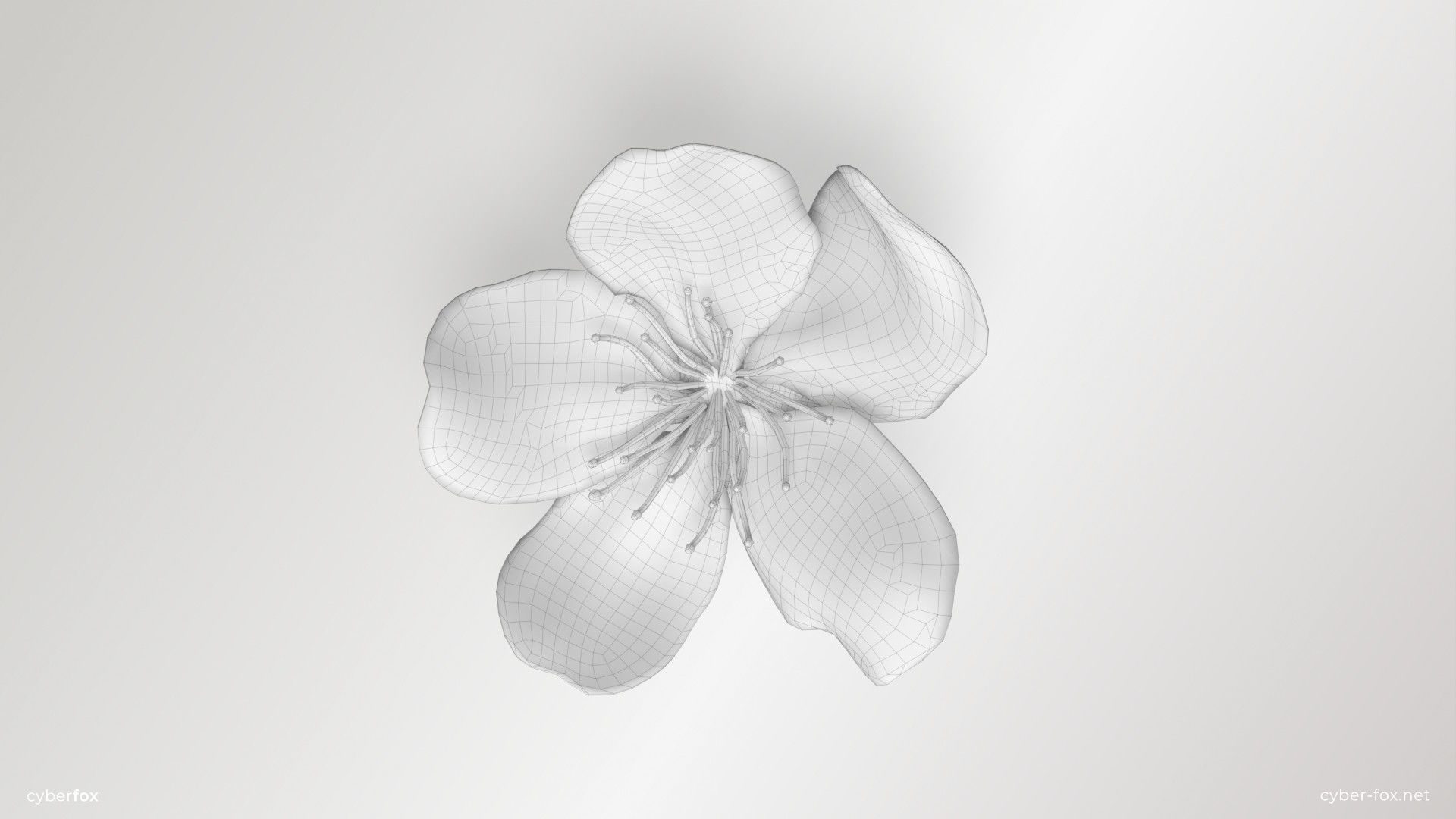 Sakura Flower Low-poly 3D model_4