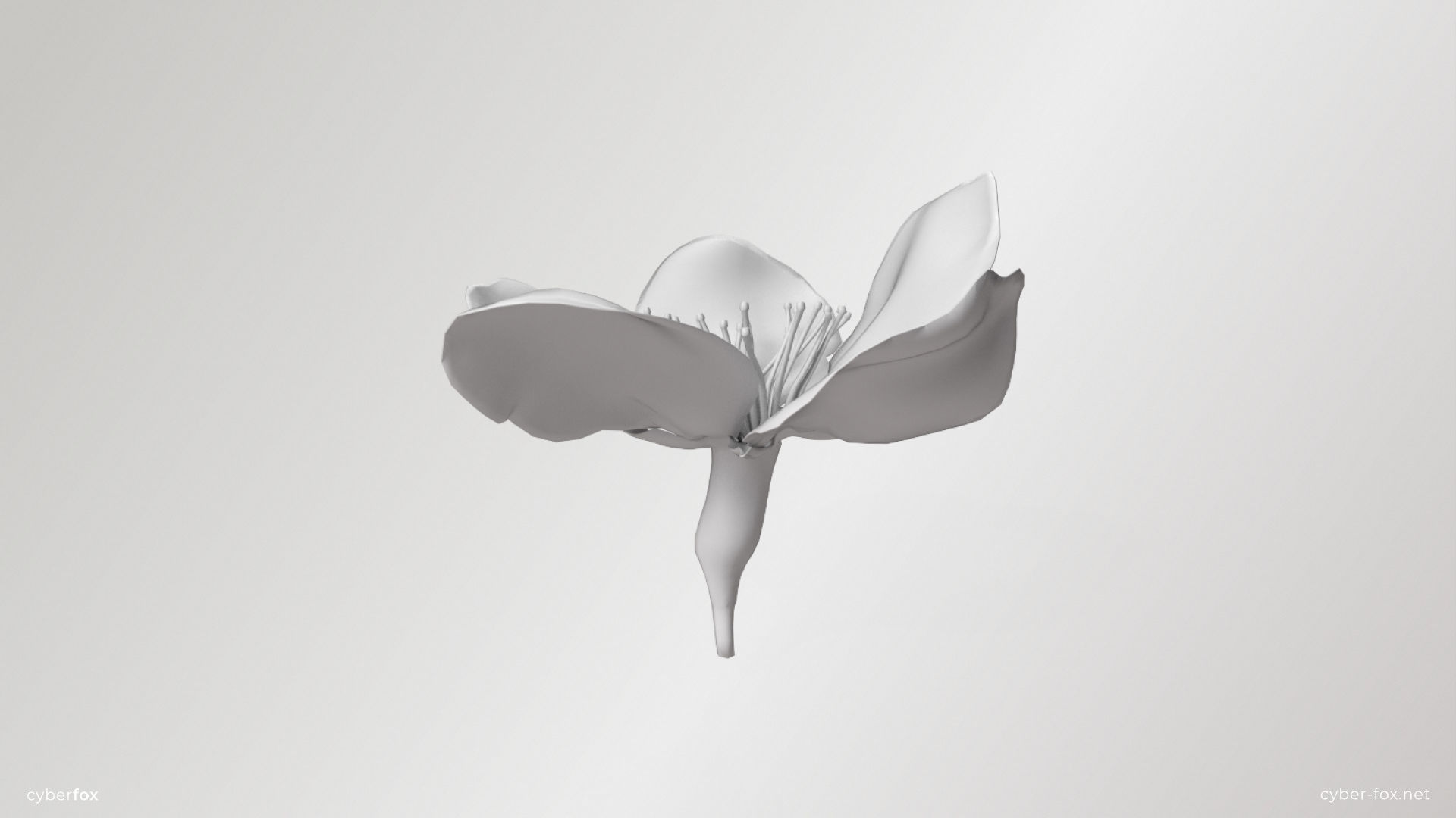 Sakura Flower Low-poly 3D model_7