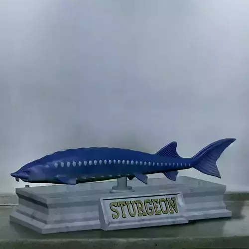 fish sturgeon statue detailed texture  3D print model