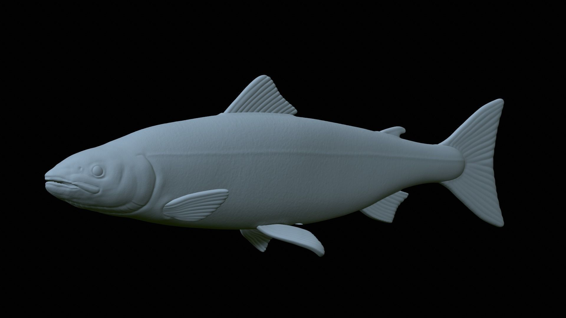 Atlantic salmon fish statue detailed texture  3D print model_21