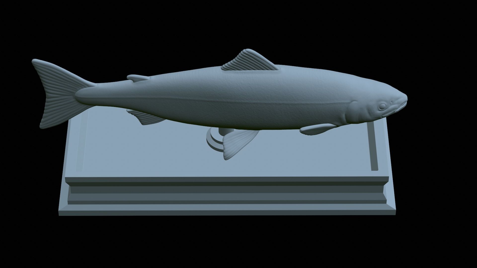 Atlantic salmon fish statue detailed texture  3D print model_18