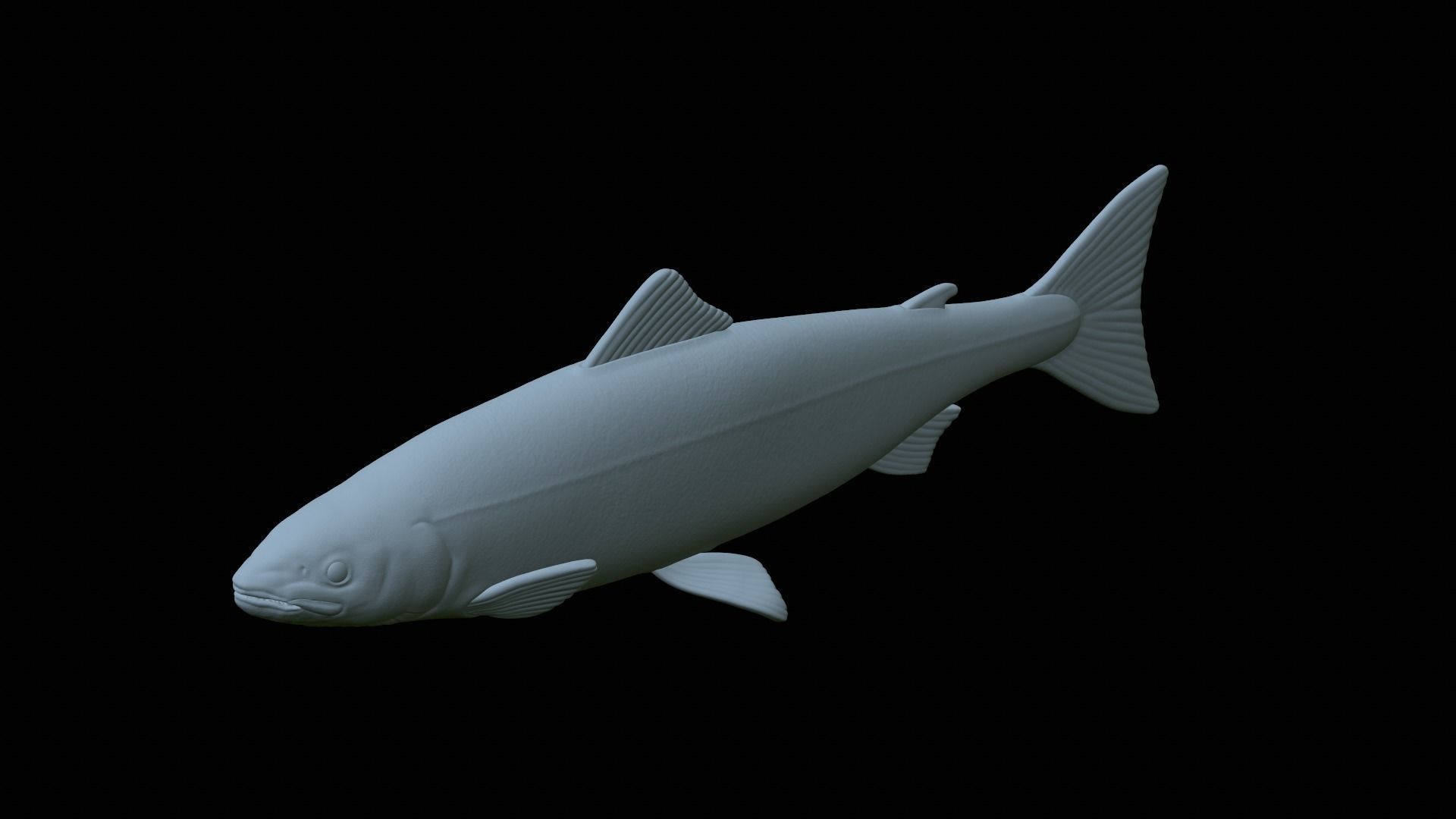 Atlantic salmon fish statue detailed texture  3D print model_23