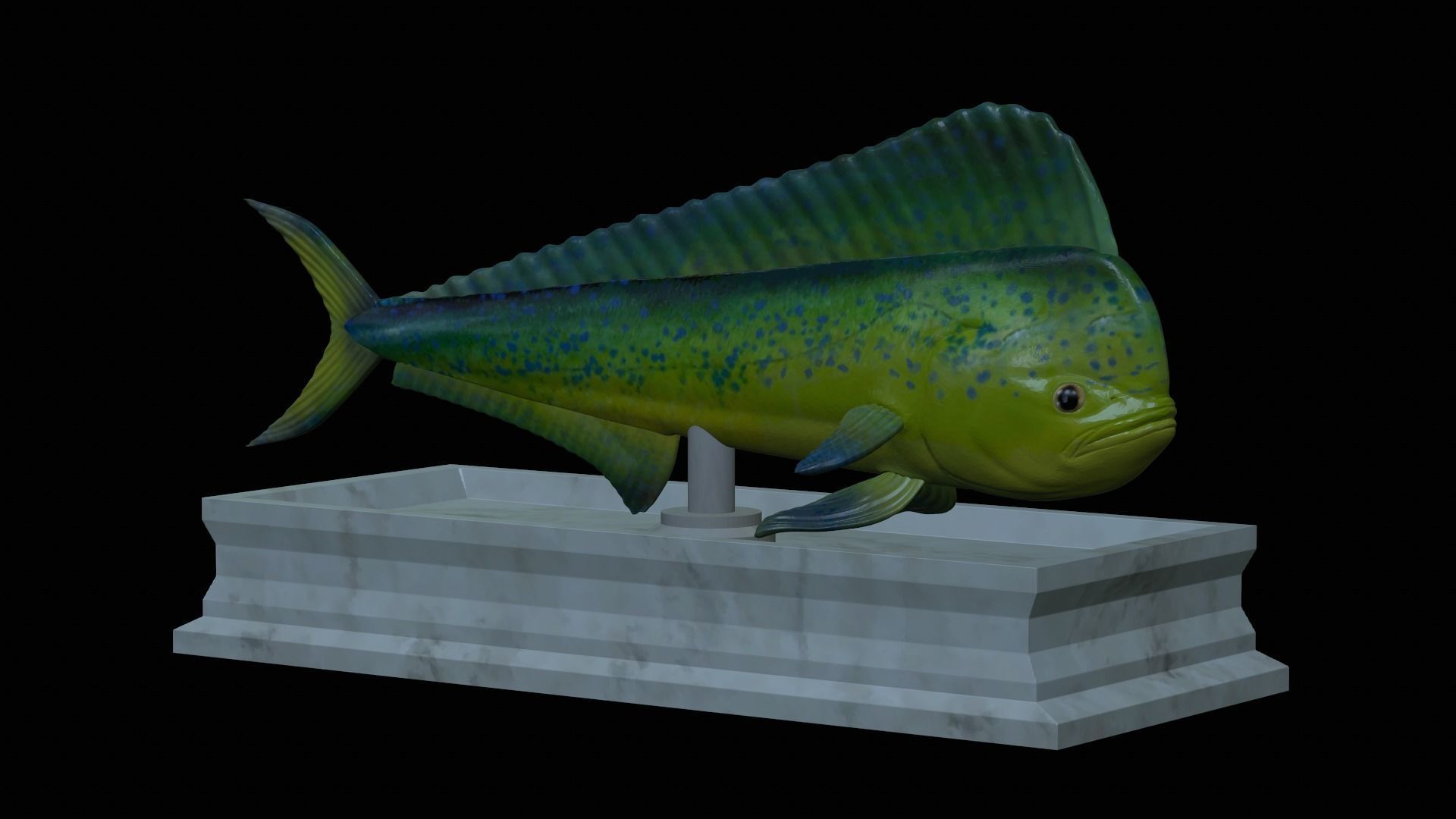 fish mahi mahi statue detailed texture 3D print model_37