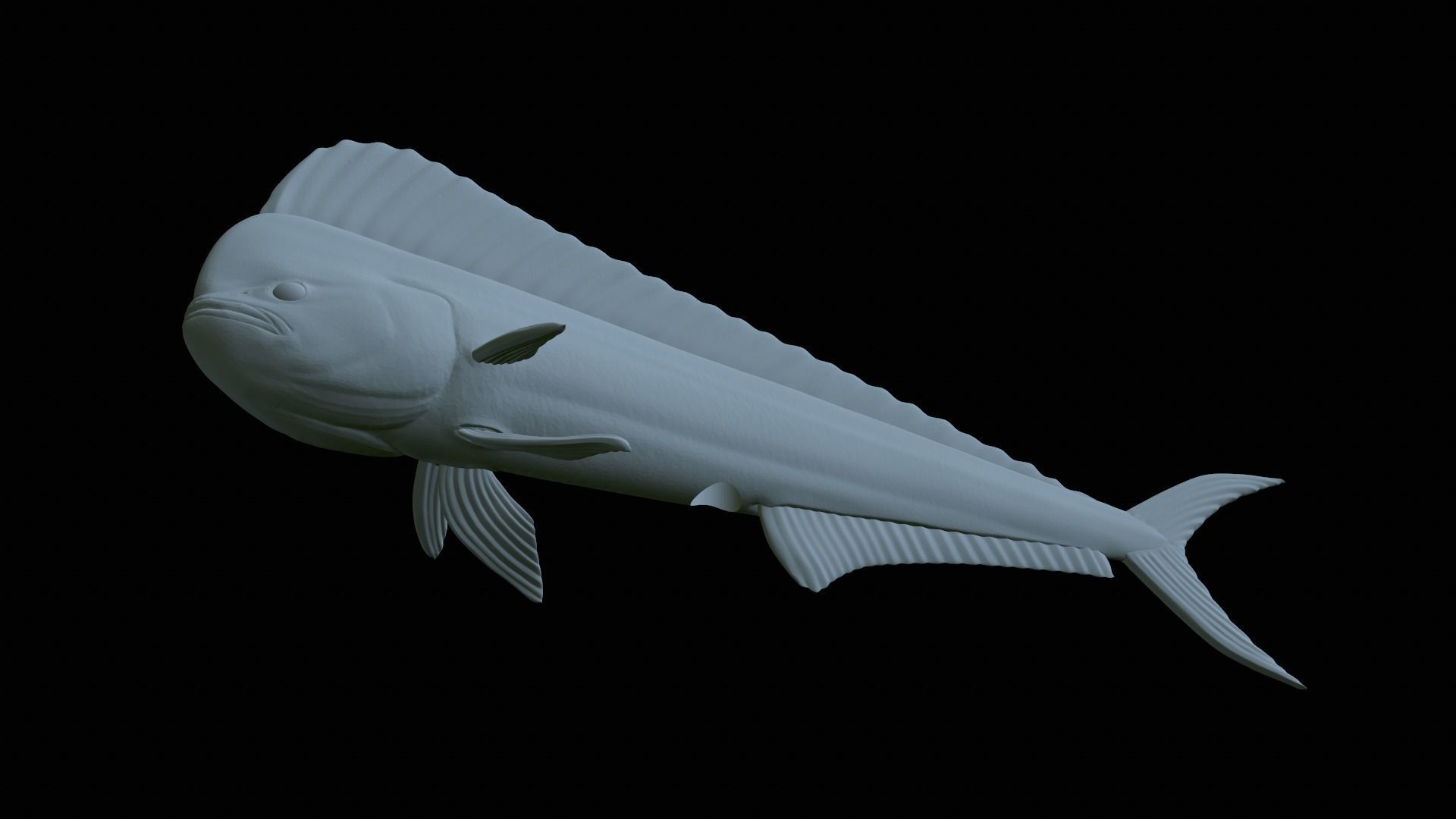 fish mahi mahi statue detailed texture 3D print model_29