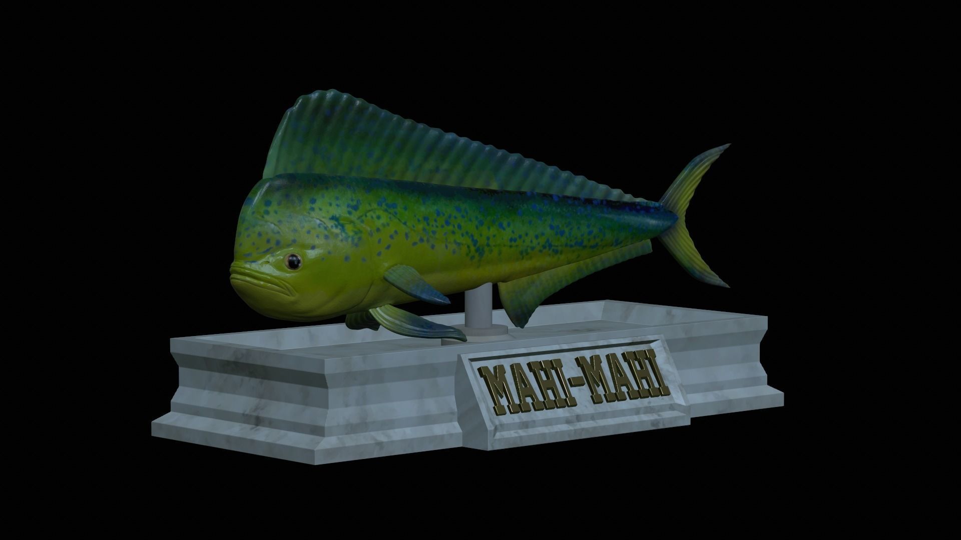fish mahi mahi statue detailed texture 3D print model_1