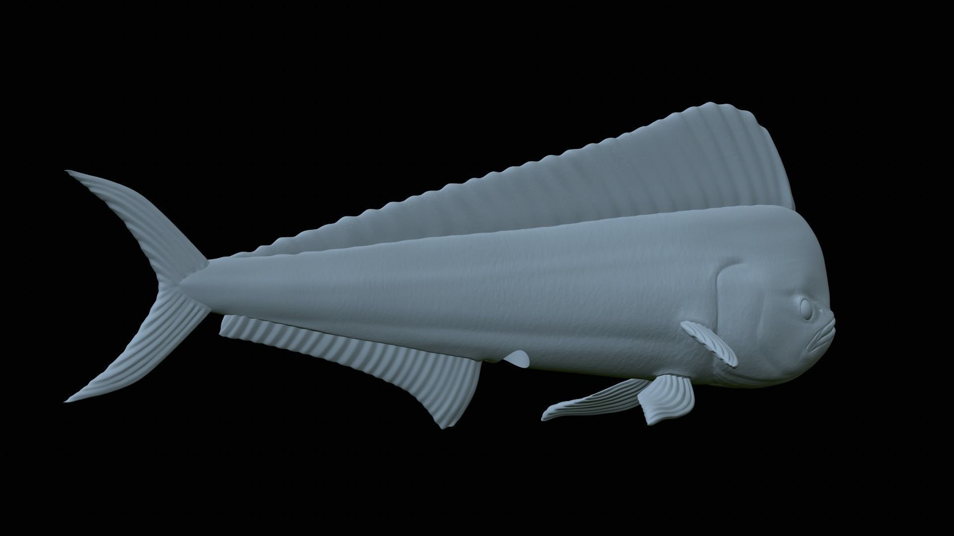 fish mahi mahi statue detailed texture 3D print model_30