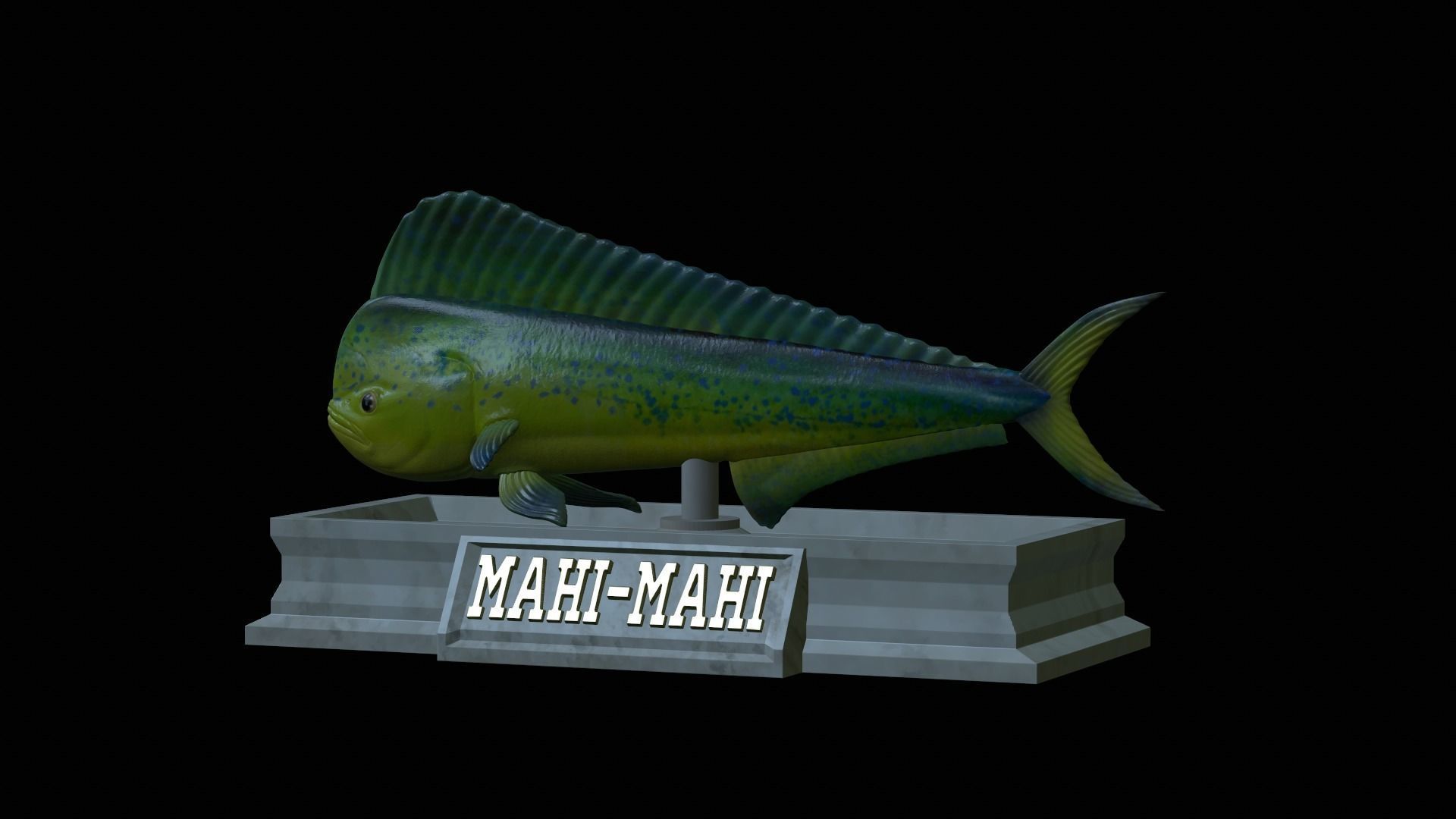 fish mahi mahi statue detailed texture 3D print model_9