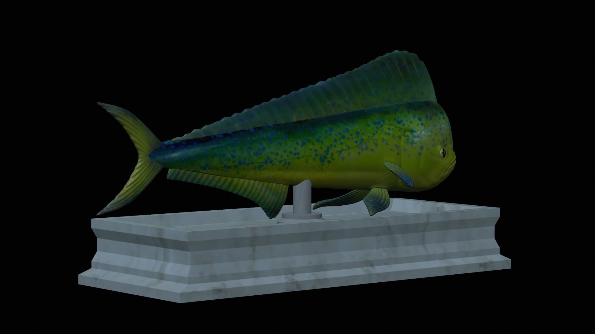 fish mahi mahi statue detailed texture 3D print model_3