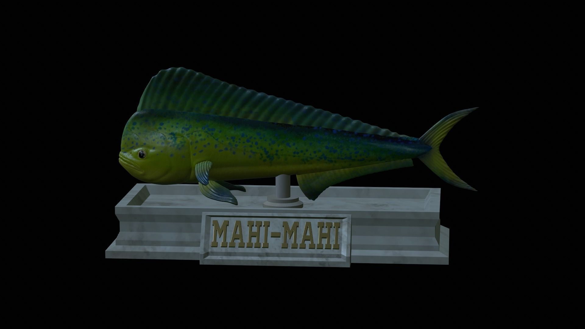 fish mahi mahi statue detailed texture 3D print model_10