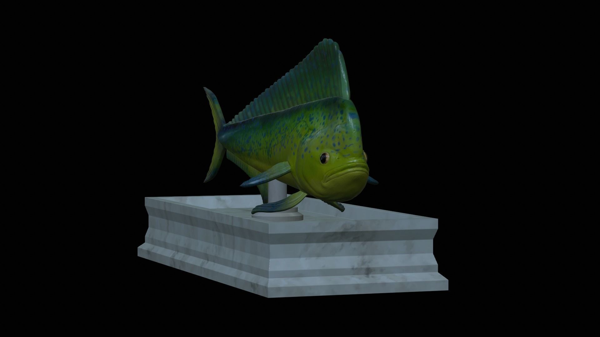 fish mahi mahi statue detailed texture 3D print model_35