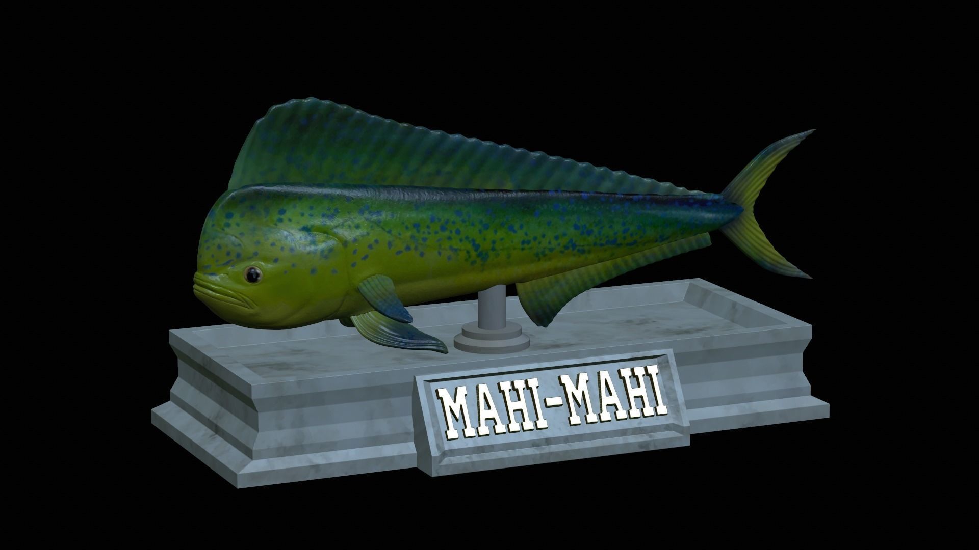 fish mahi mahi statue detailed texture 3D print model_39