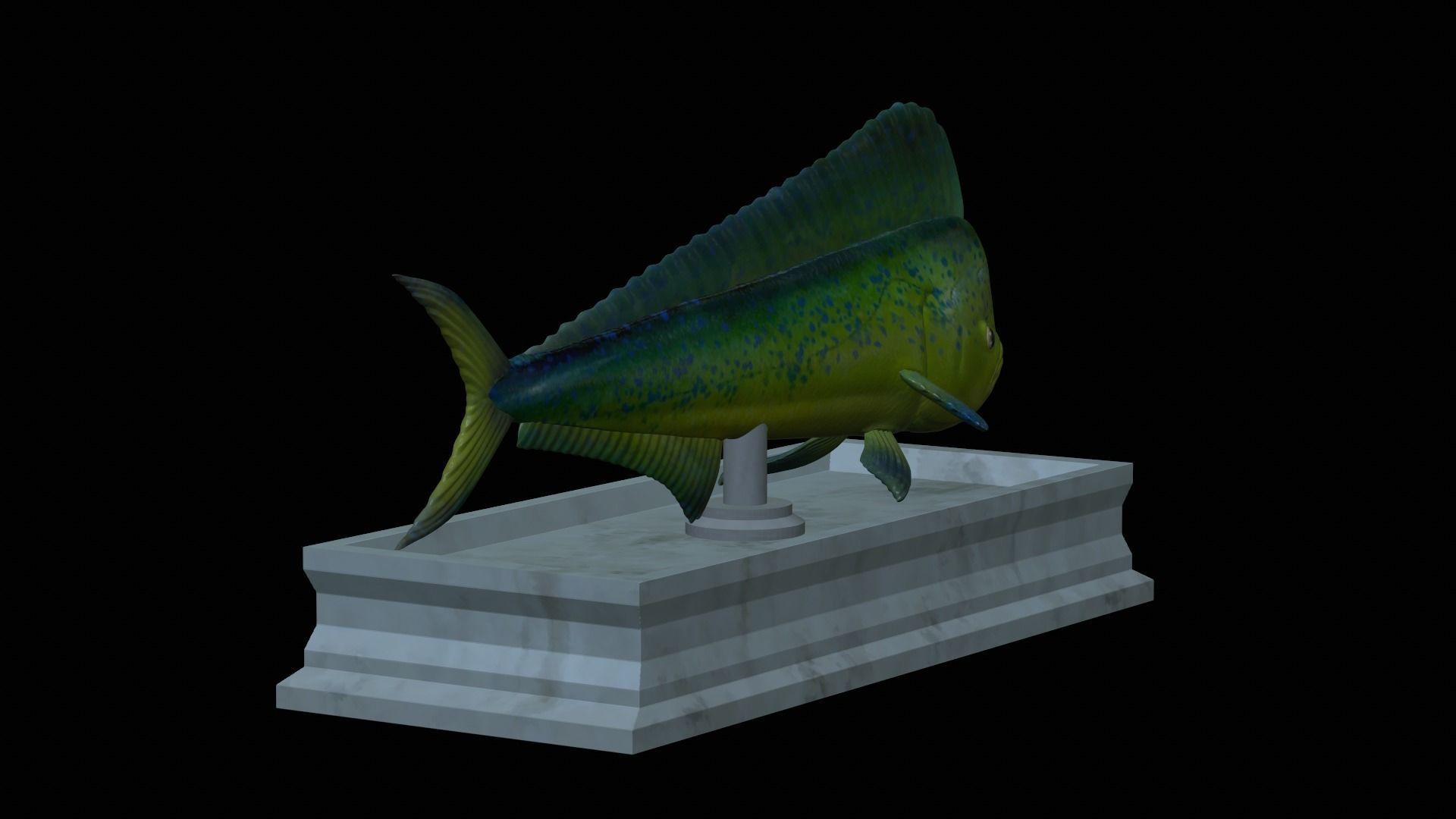 fish mahi mahi statue detailed texture 3D print model_4