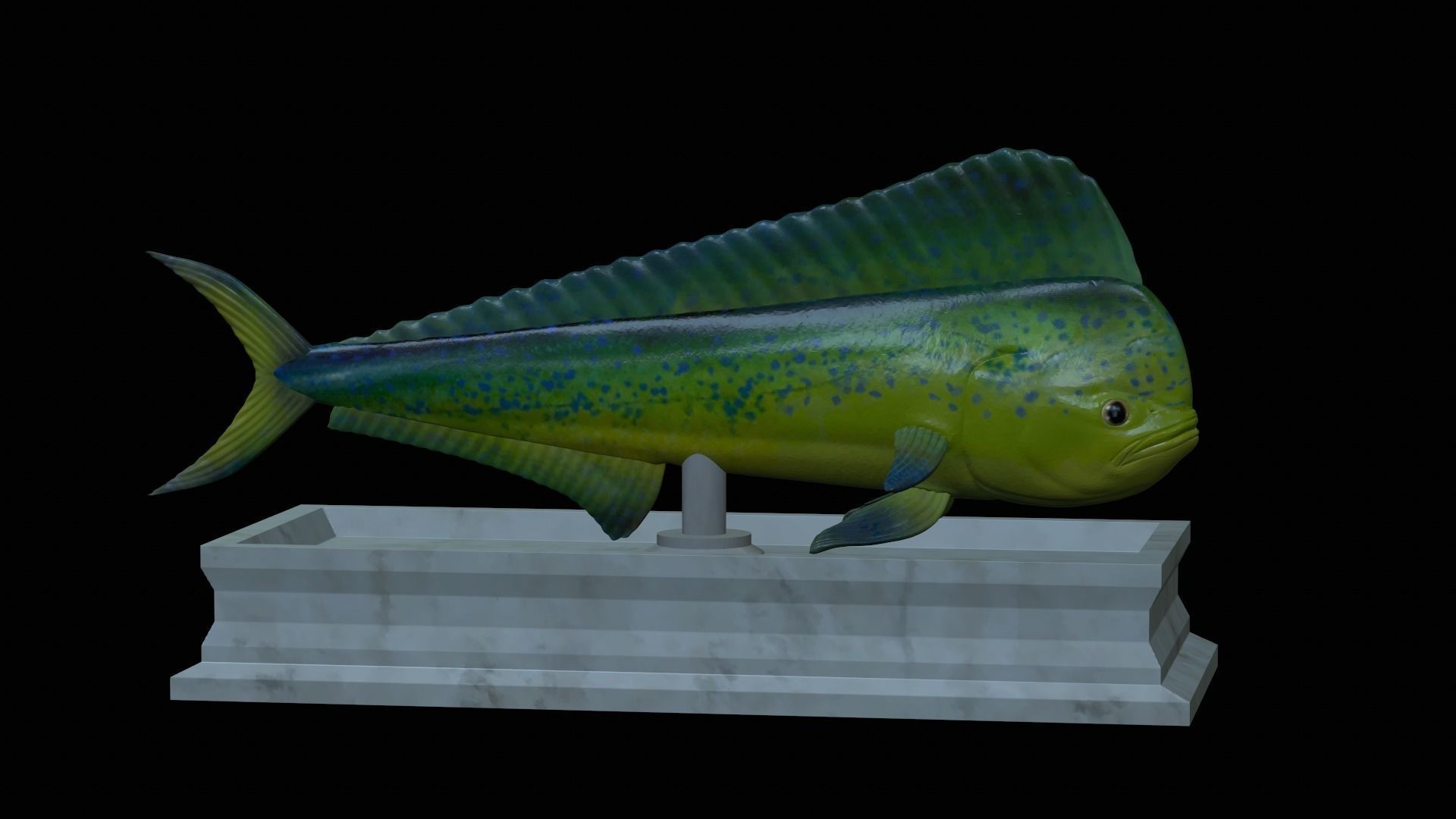 fish mahi mahi statue detailed texture 3D print model_38