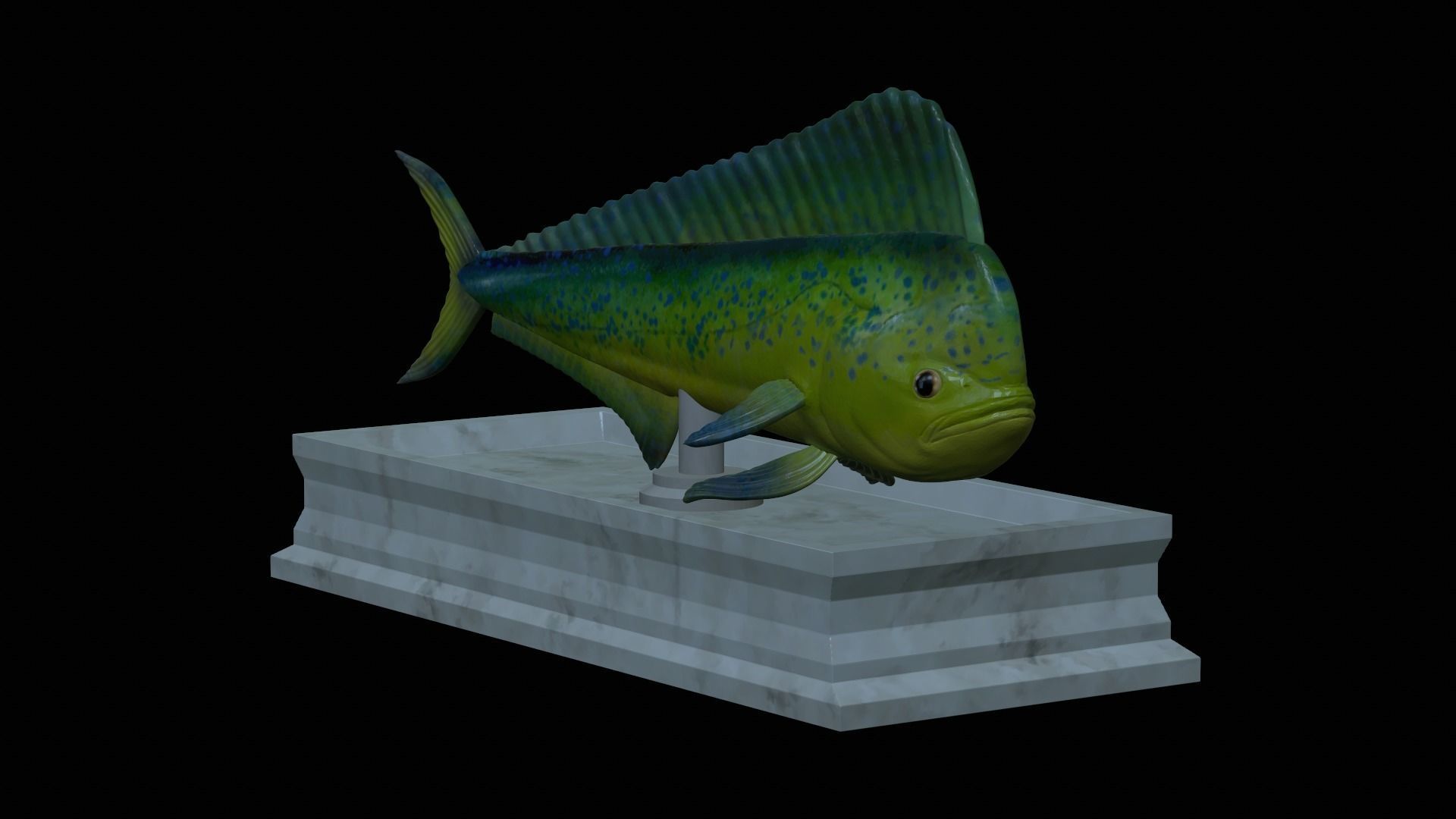 fish mahi mahi statue detailed texture 3D print model_36