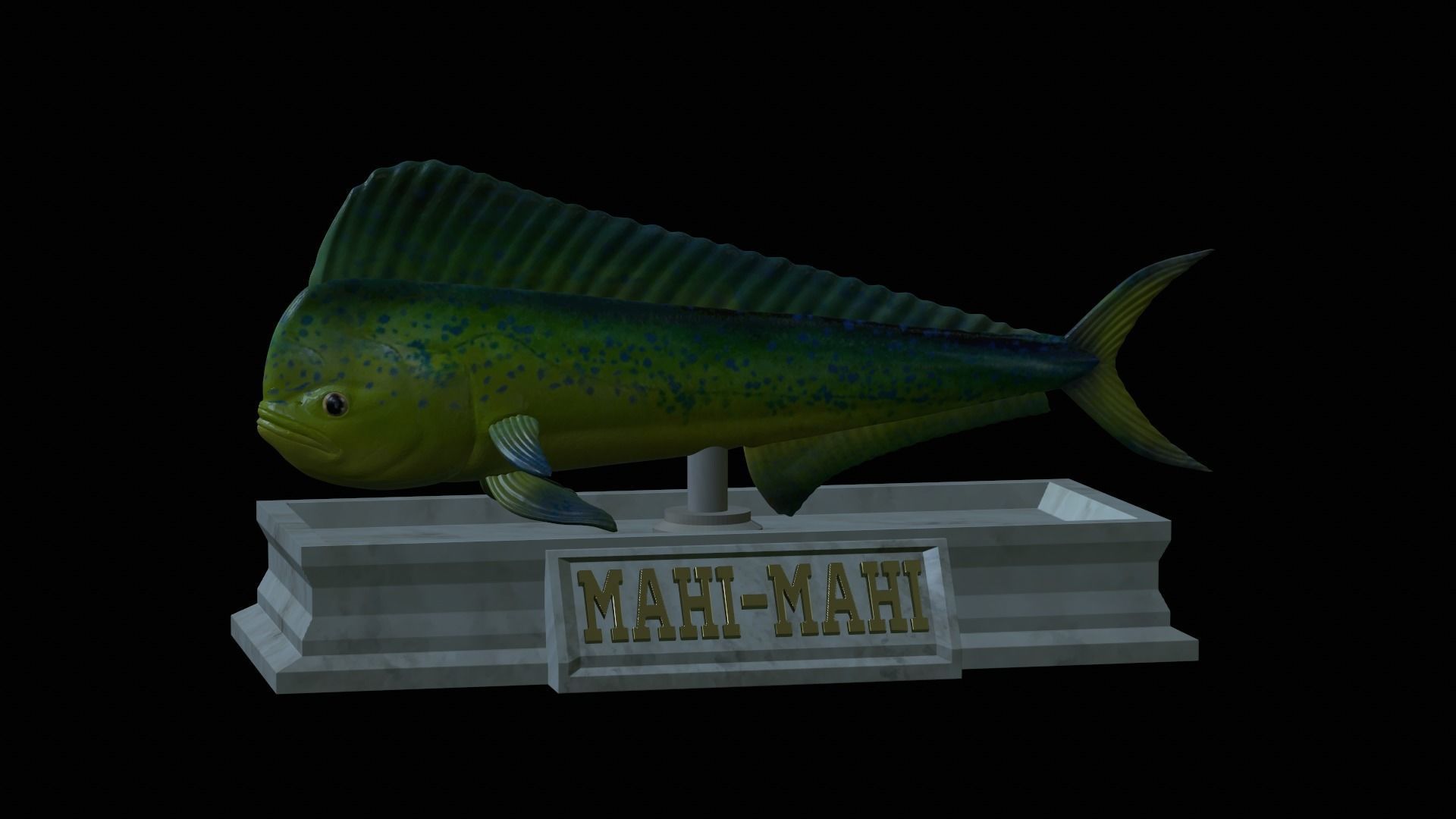 fish mahi mahi statue detailed texture 3D print model_11