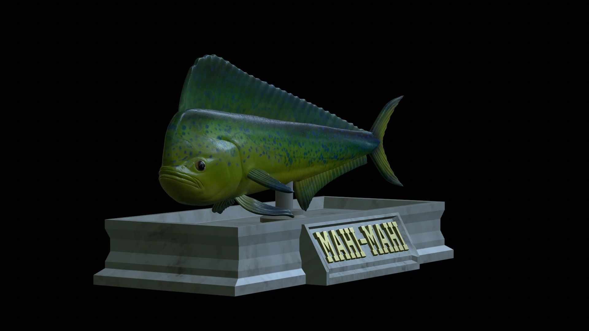 fish mahi mahi statue detailed texture 3D print model_13