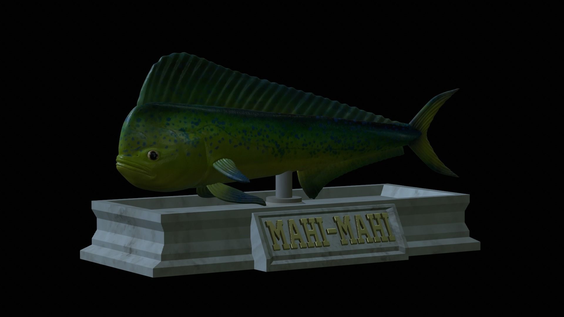 fish mahi mahi statue detailed texture 3D print model_12